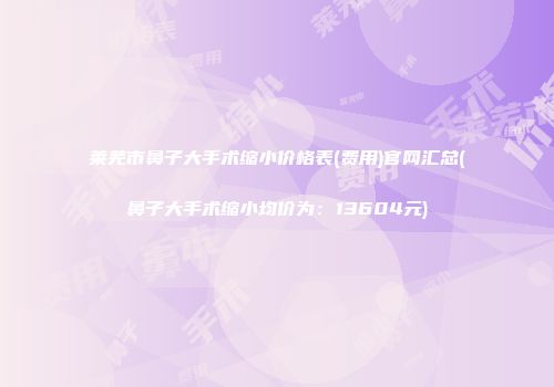莱芜市鼻子大手术缩小价格表(费用)官网汇总(鼻子大手术缩小均价为：13604元)