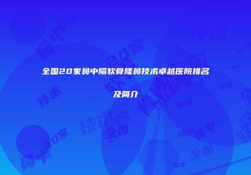 全国20家鼻中隔软骨隆鼻技术卓越医院排名及简介