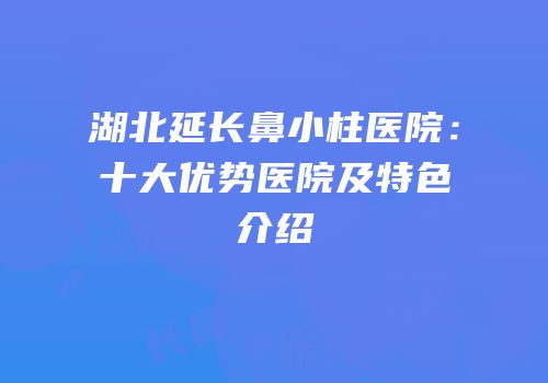 湖北延长鼻小柱医院：十大优势医院及特色介绍