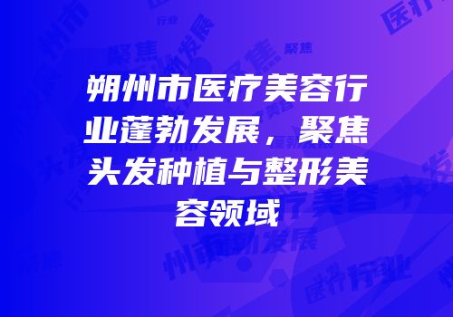 朔州市医疗美容行业蓬勃发展，聚焦头发种植与整形美容领域