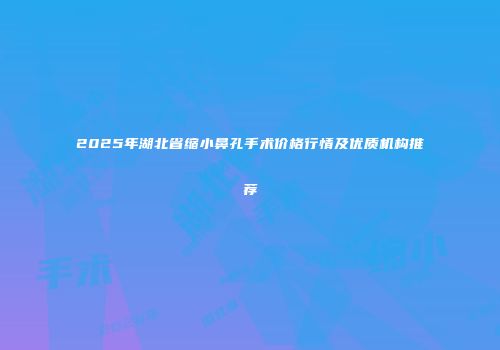 2025年湖北省缩小鼻孔手术价格行情及优质机构推荐