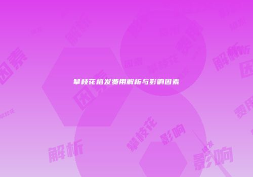 攀枝花植发费用解析与影响因素