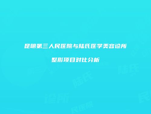 昆明第三人民医院与陆氏医学美容诊所整形项目对比分析