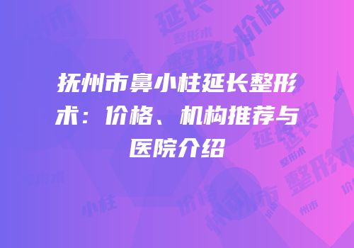 抚州市鼻小柱延长整形术：价格、机构推荐与医院介绍
