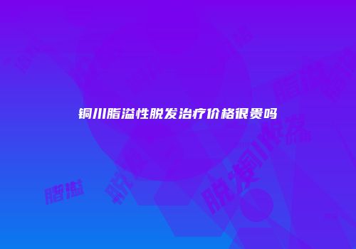 铜川脂溢性脱发治疗价格很贵吗