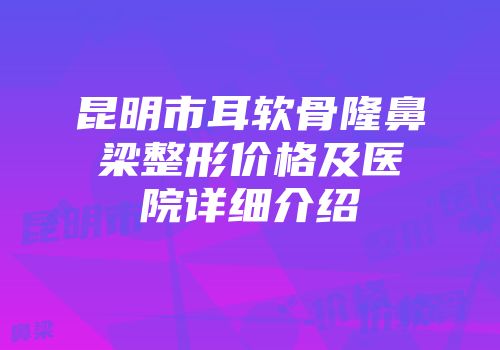 昆明市耳软骨隆鼻梁整形价格及医院详细介绍