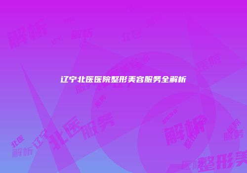 辽宁北医医院整形美容服务全解析