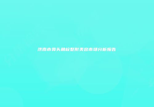 济南市鼻头角栓整形美容市场分析报告