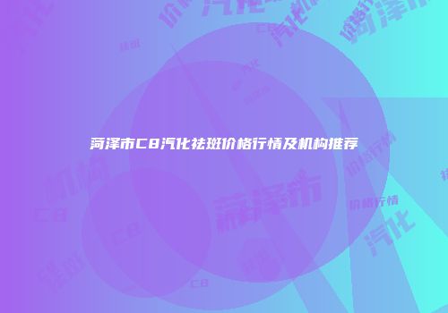 菏泽市C8汽化祛斑价格行情及机构推荐