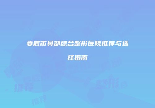 娄底市鼻部综合整形医院推荐与选择指南