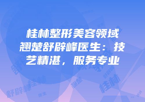 桂林整形美容领域翘楚舒辟峰医生：技艺精湛，服务专业