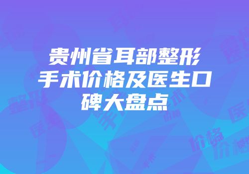 贵州省耳部整形手术价格及医生口碑大盘点