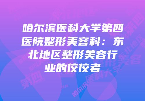 哈尔滨医科大学第四医院整形美容科：东北地区整形美容行业的佼佼者