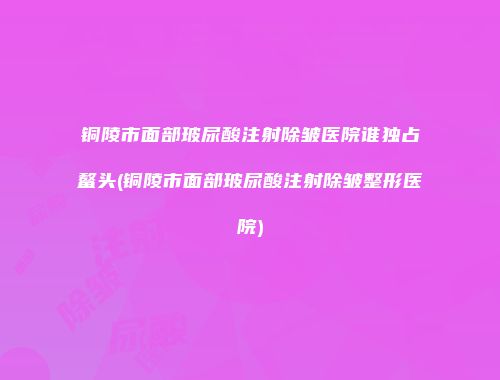 铜陵市面部玻尿酸注射除皱医院谁独占鳌头(铜陵市面部玻尿酸注射除皱整形医院)