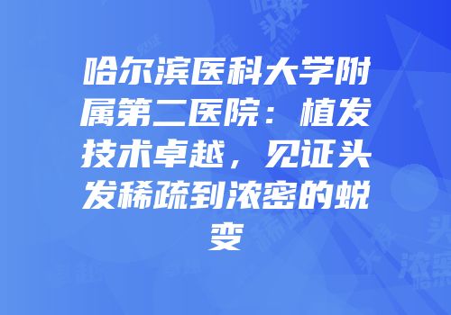 哈尔滨医科大学附属第二医院：植发技术卓越，见证头发稀疏到浓密的蜕变