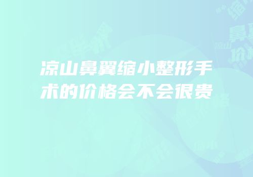 凉山鼻翼缩小整形手术的价格会不会很贵