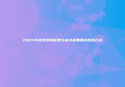 2025年武汉市阴蒂肥大缩小术费用及医院介绍