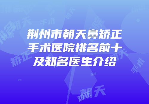 荆州市朝天鼻矫正手术医院排名前十及知名医生介绍