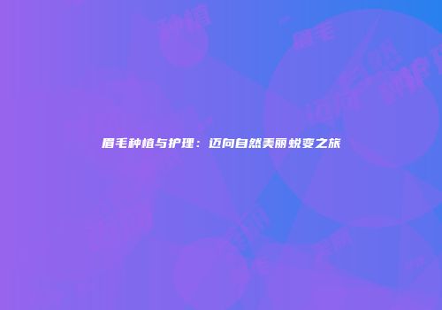 眉毛种植与护理：迈向自然美丽蜕变之旅