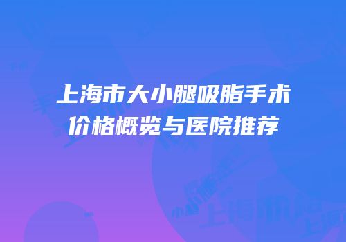 上海市大小腿吸脂手术价格概览与医院推荐