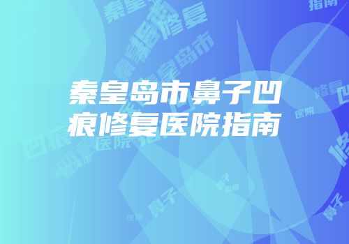 秦皇岛市鼻子凹痕修复医院指南