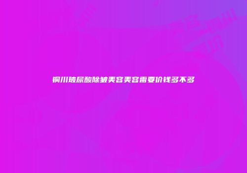 铜川玻尿酸除皱美容美容需要价钱多不多