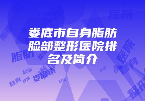 娄底市自身脂肪脸部整形医院排名及简介