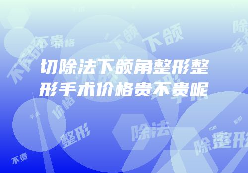 切除法下颌角整形整形手术价格贵不贵呢