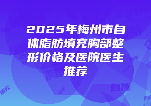 2025年梅州市自体脂肪填充胸部整形价格及医院医生推荐