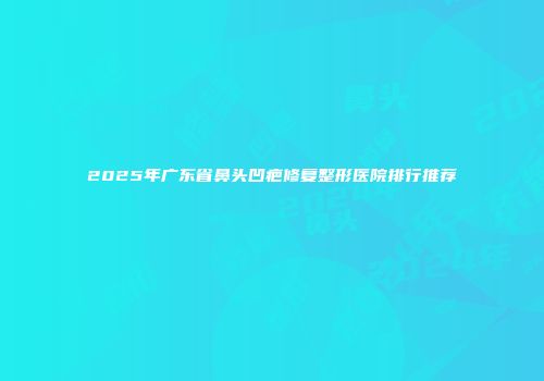 2025年广东省鼻头凹疤修复整形医院排行推荐