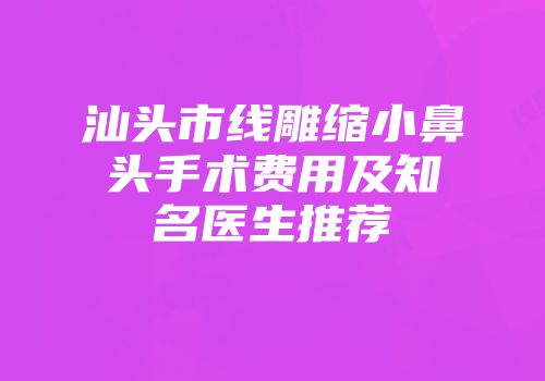 汕头市线雕缩小鼻头手术费用及知名医生推荐