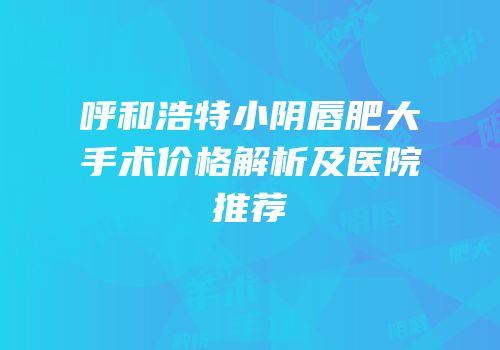 呼和浩特小阴唇肥大手术价格解析及医院推荐