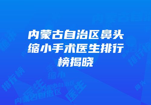 内蒙古自治区鼻头缩小手术医生排行榜揭晓