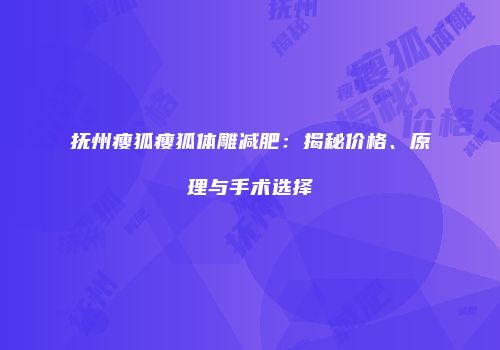 抚州瘦狐瘦狐体雕减肥：揭秘价格、原理与手术选择