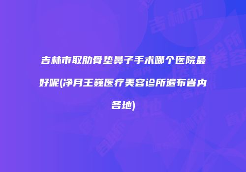 吉林市取肋骨垫鼻子手术哪个医院最好呢(净月王巍医疗美容诊所遍布省内各地)