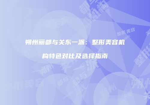 朔州丽都与关东一派：整形美容机构特色对比及选择指南
