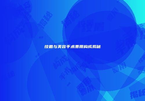 纹眉与美容手术费用构成揭秘