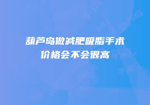 葫芦岛做减肥吸脂手术价格会不会很高