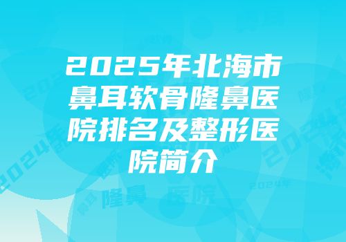 2025年北海市鼻耳软骨隆鼻医院排名及整形医院简介