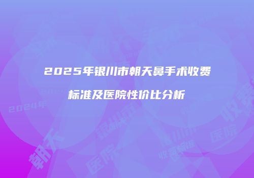 2025年银川市朝天鼻手术收费标准及医院性价比分析