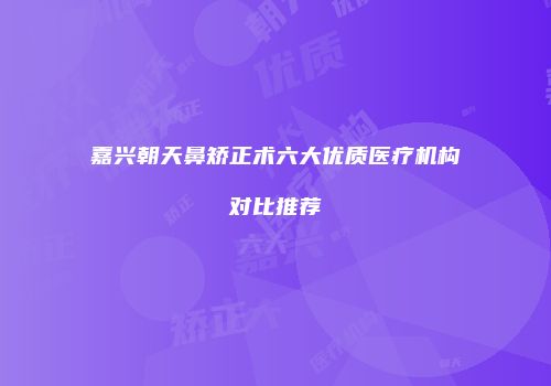 嘉兴朝天鼻矫正术六大优质医疗机构对比推荐