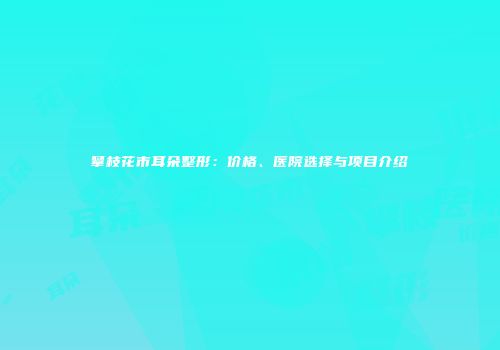 攀枝花市耳朵整形：价格、医院选择与项目介绍
