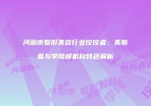河源市整形美容行业佼佼者：美斯嘉与李陵峰机构特色解析