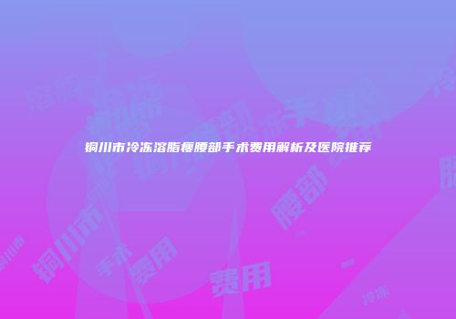 铜川市冷冻溶脂瘦腰部手术费用解析及医院推荐