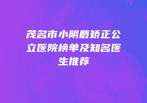 茂名市小阴唇矫正公立医院榜单及知名医生推荐