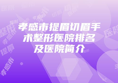 孝感市提眉切眉手术整形医院排名及医院简介