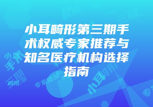 小耳畸形第三期手术权威专家推荐与知名医疗机构选择指南