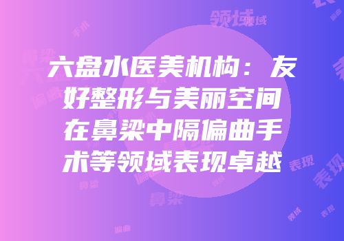 六盘水医美机构：友好整形与美丽空间在鼻梁中隔偏曲手术等领域表现卓越