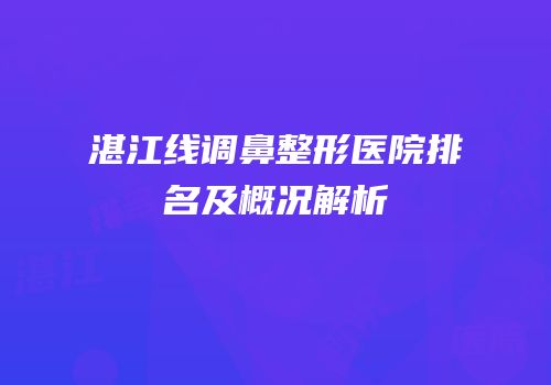 湛江线调鼻整形医院排名及概况解析