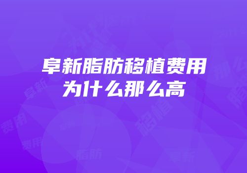 阜新脂肪移植费用为什么那么高